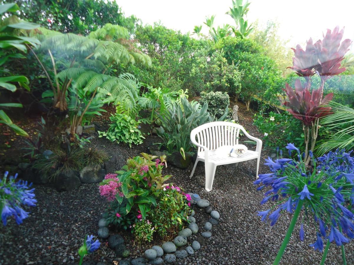 Guest House In Hilo Exterior photo